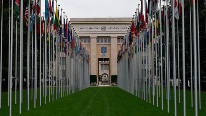 Organización Mundial de Comercio (OMC)