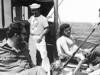 Fidel & Che