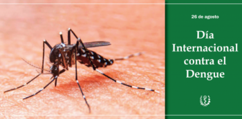 Myggan Aedes Aegyptu kan sprida viruset dengue.