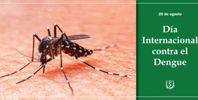 Myggan Aedes Aegyptu kan sprida viruset dengue.