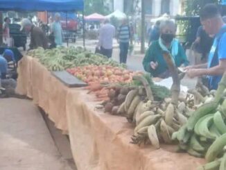 grönsaksmarknad i Lennonparken, Havanna