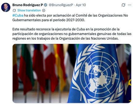 Bruno Rodríguez, X, ECOSOC, NGO