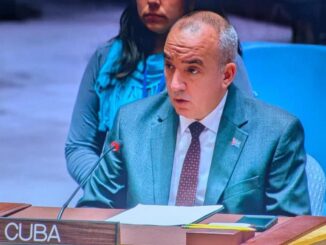 FN, Säkerhetsrådet